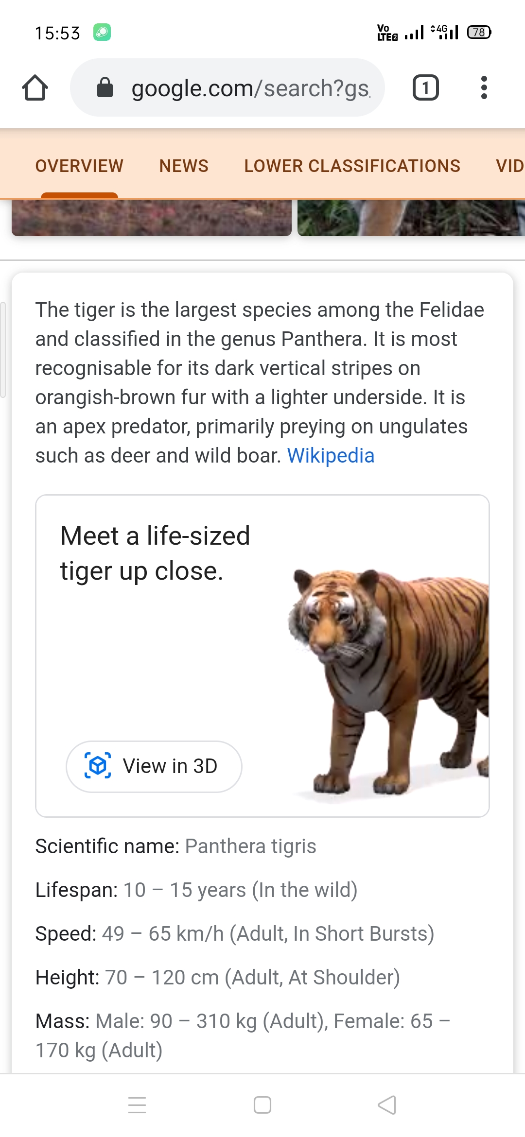 Here's how to look at life-size animals in AR through Google