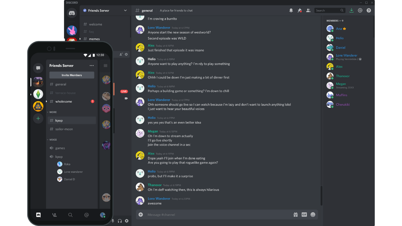 Discord ip address grabber