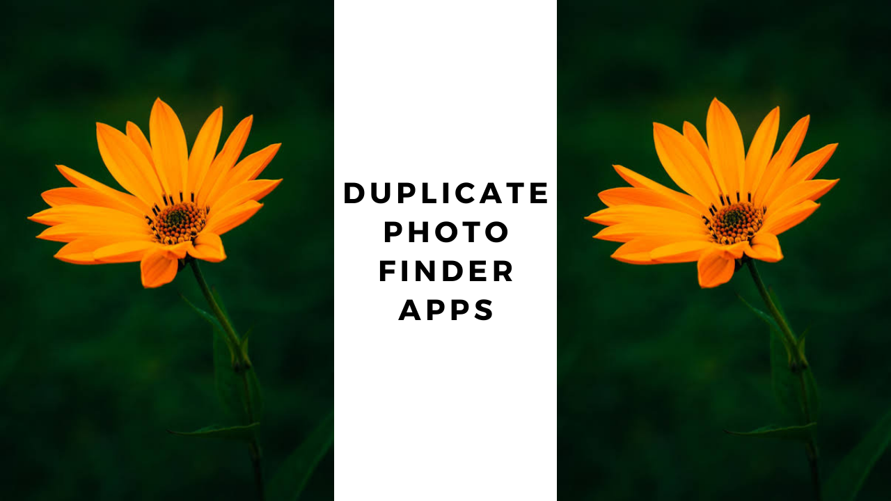 Duplicate Photo Finder 7.15.0.39 for apple download free