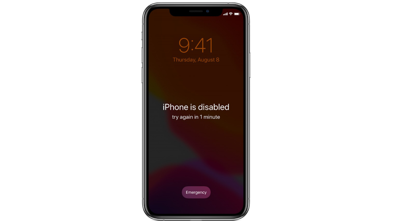 Understanding How You Can Unlock Disabled iPhone Without Password