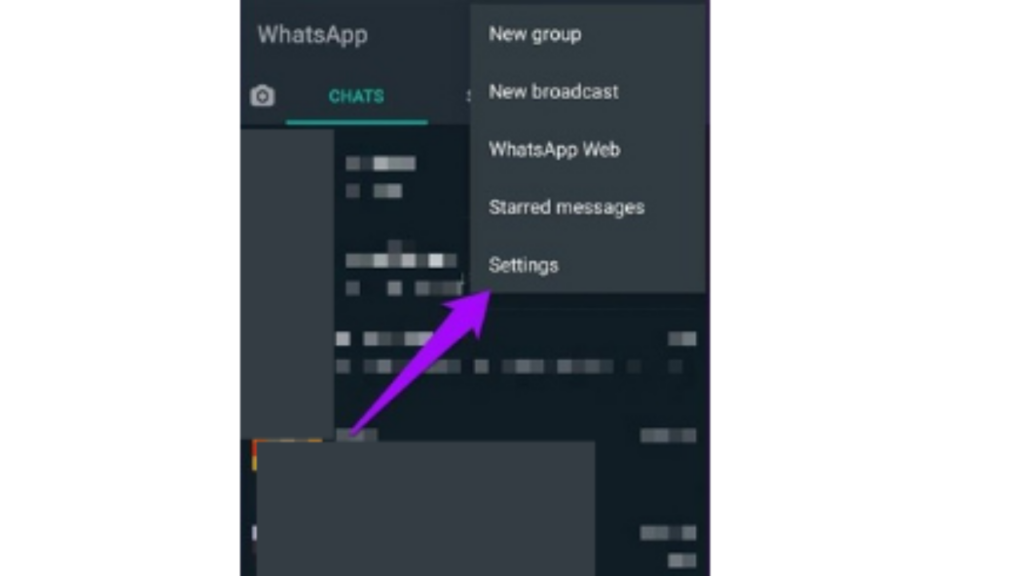 access WhatsApp setting