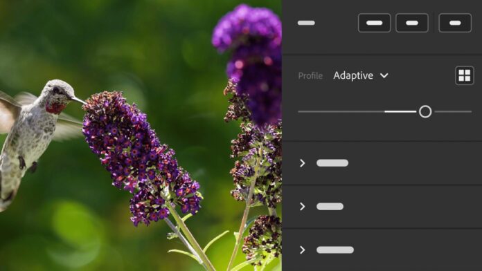 New AI features in Lightroom and Illustrator