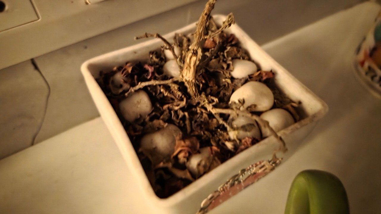 Samsung Galaxy S25 Edge night On