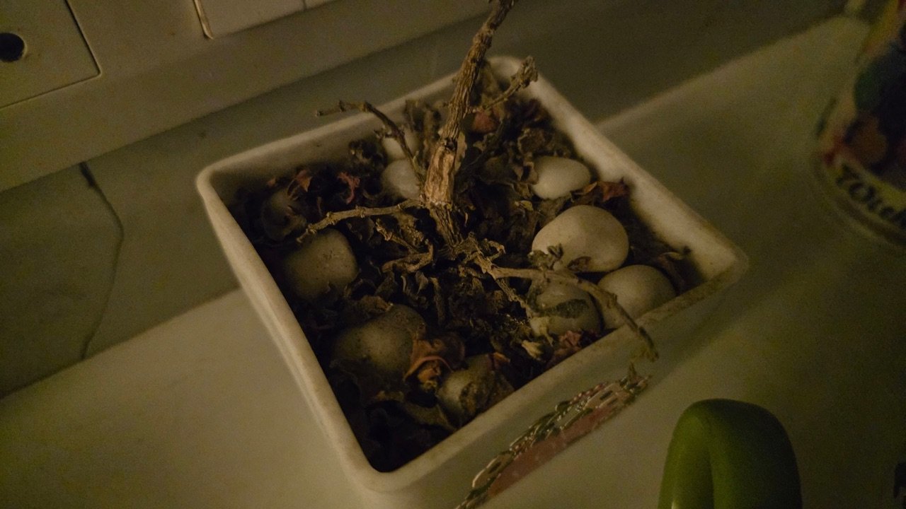 Samsung Galaxy S25 Edge night off